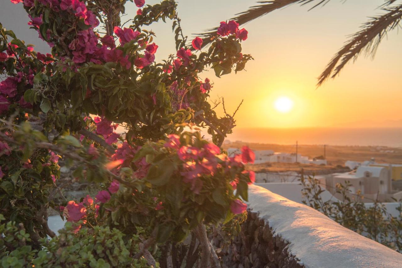 Aqua Serenity Luxury Suites Santorini Foinikia  Bagian luar foto